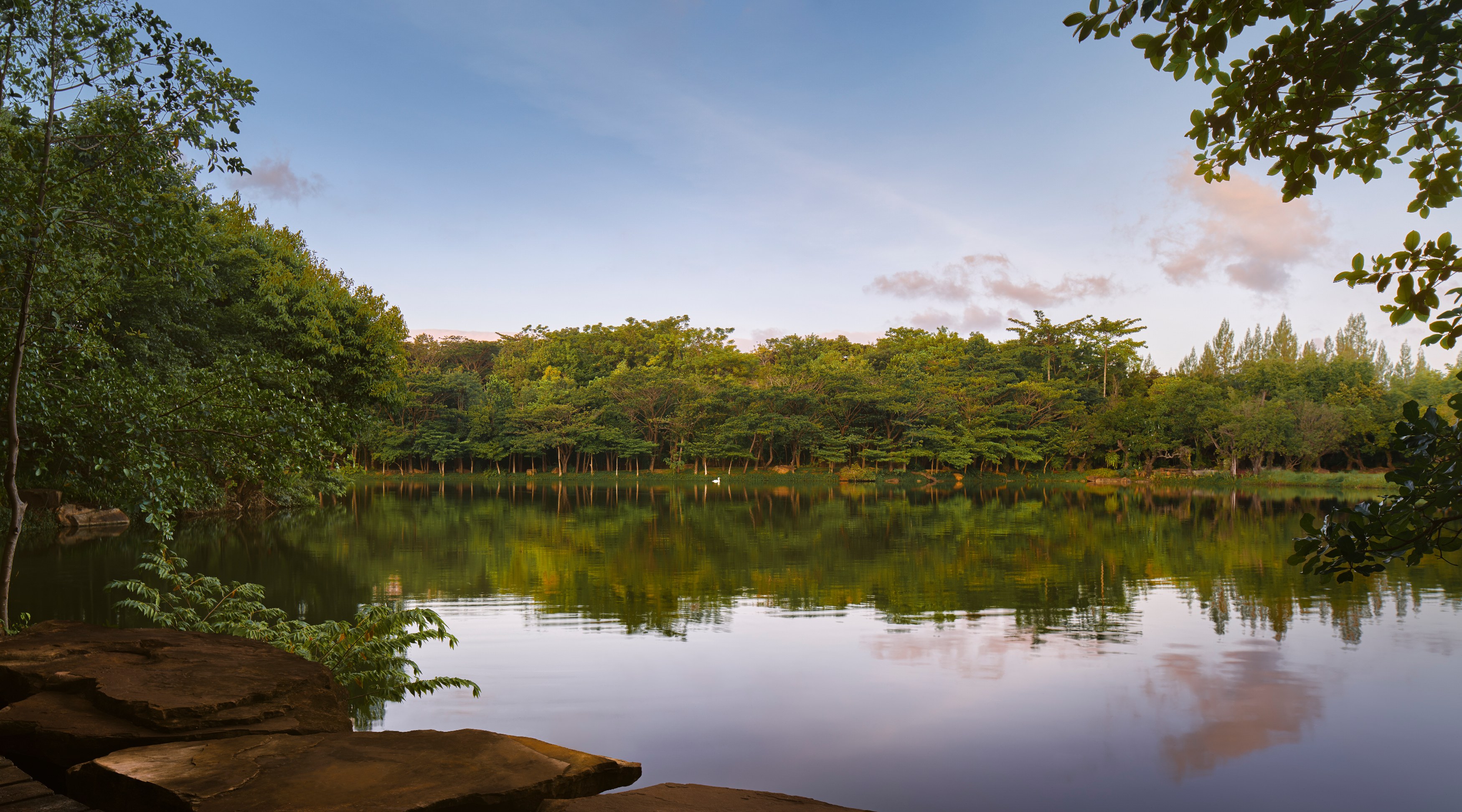 TH - InterContinental Khao Yai Resort - Swan Lake Lawn.jpg