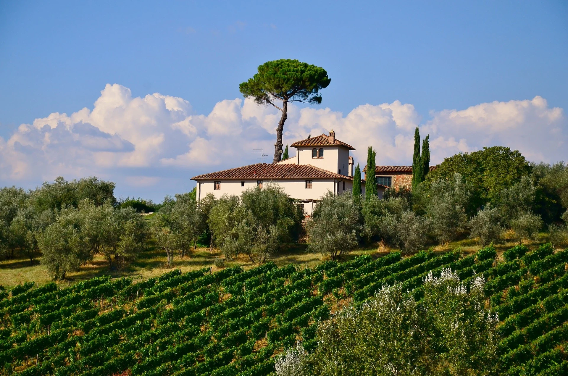 IT-Tuscan villa.webp