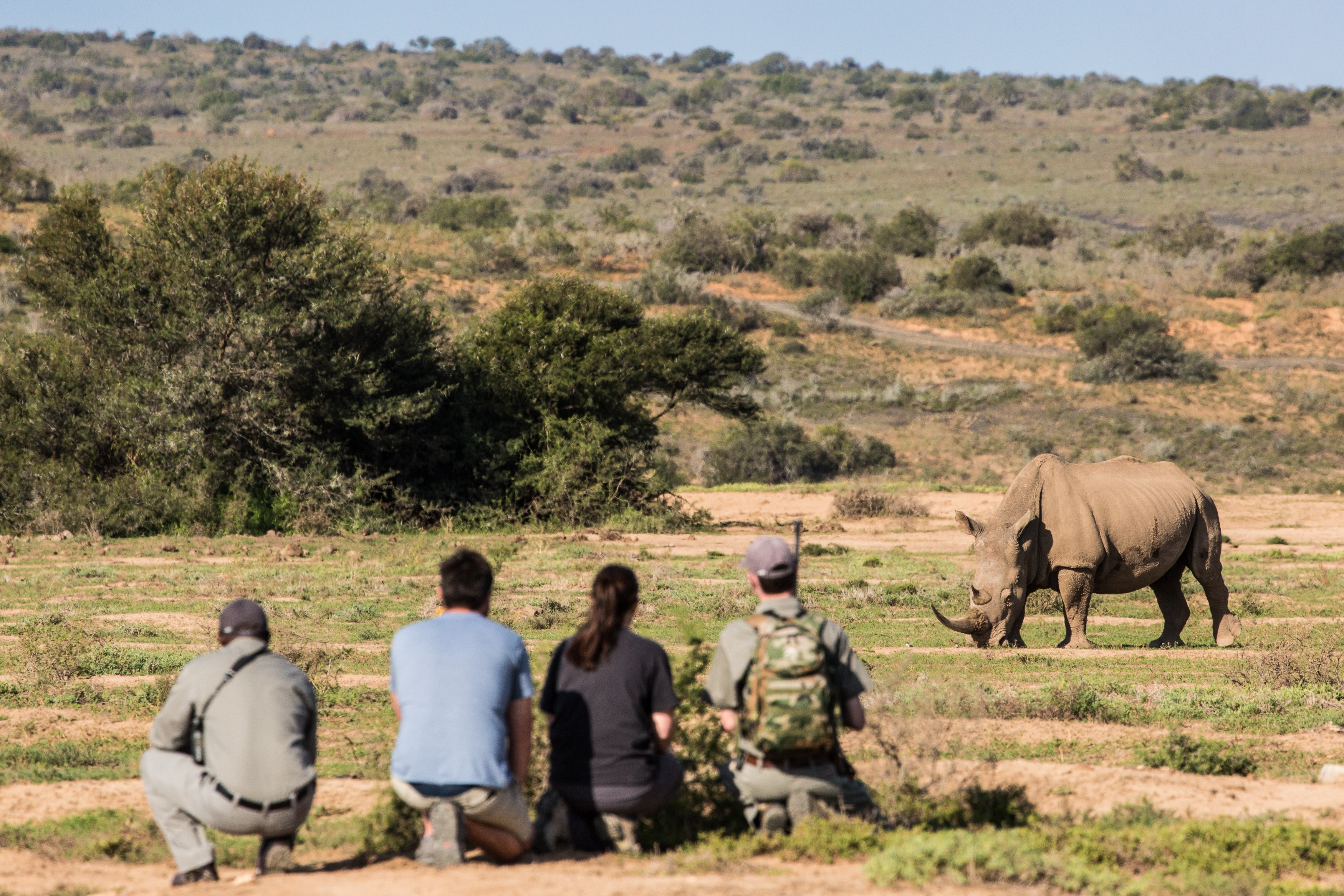 ZA-Kwandwe Private Game Reserve -walking safari rhino.jpg