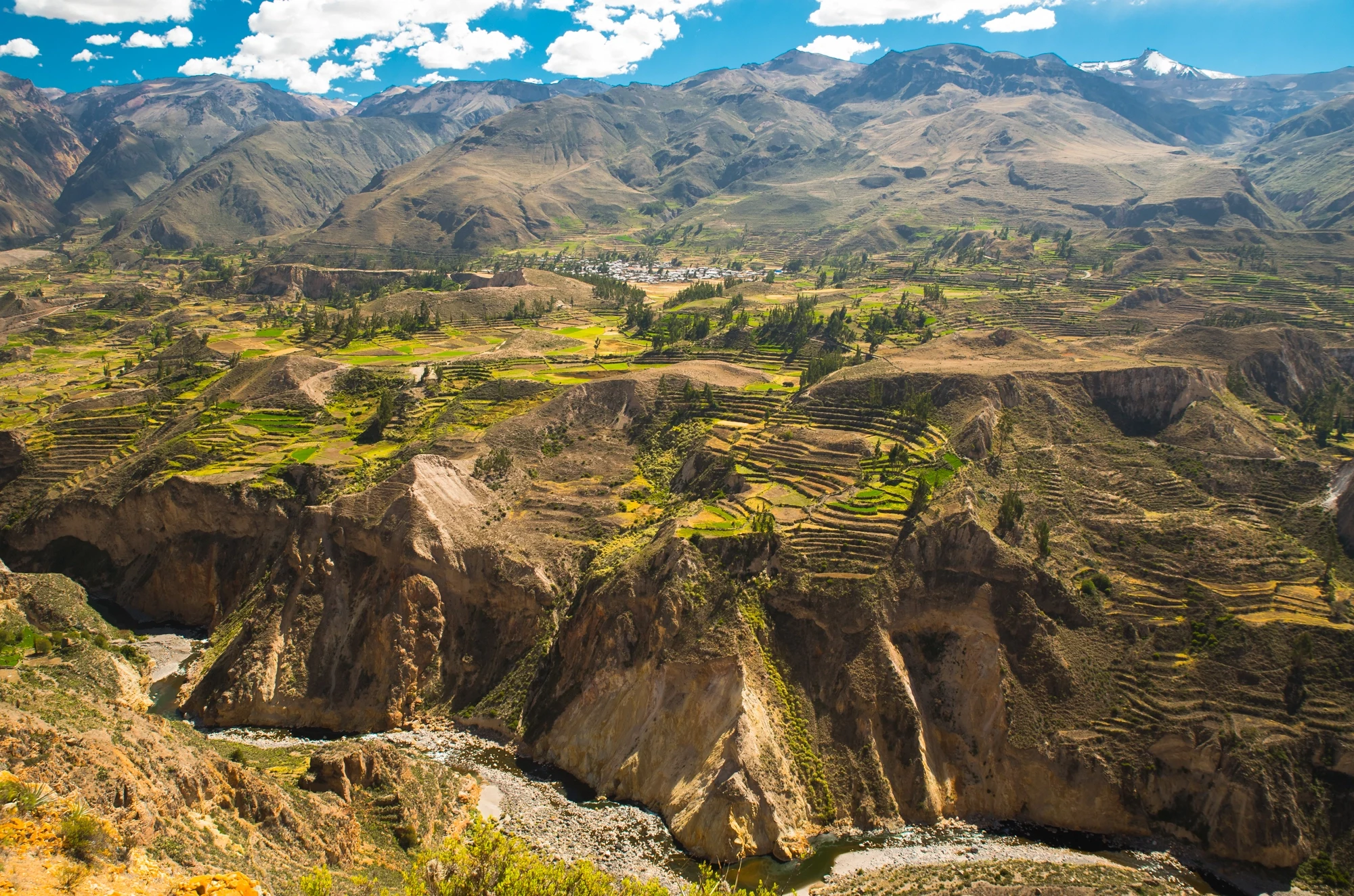 PE - Algemeen - Colca Canyon.webp