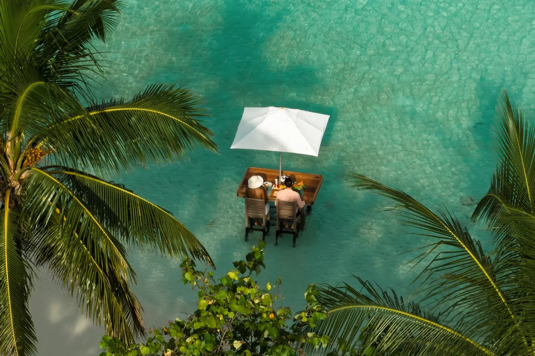 MV - Constance Moofushi - eten en drinken.webp