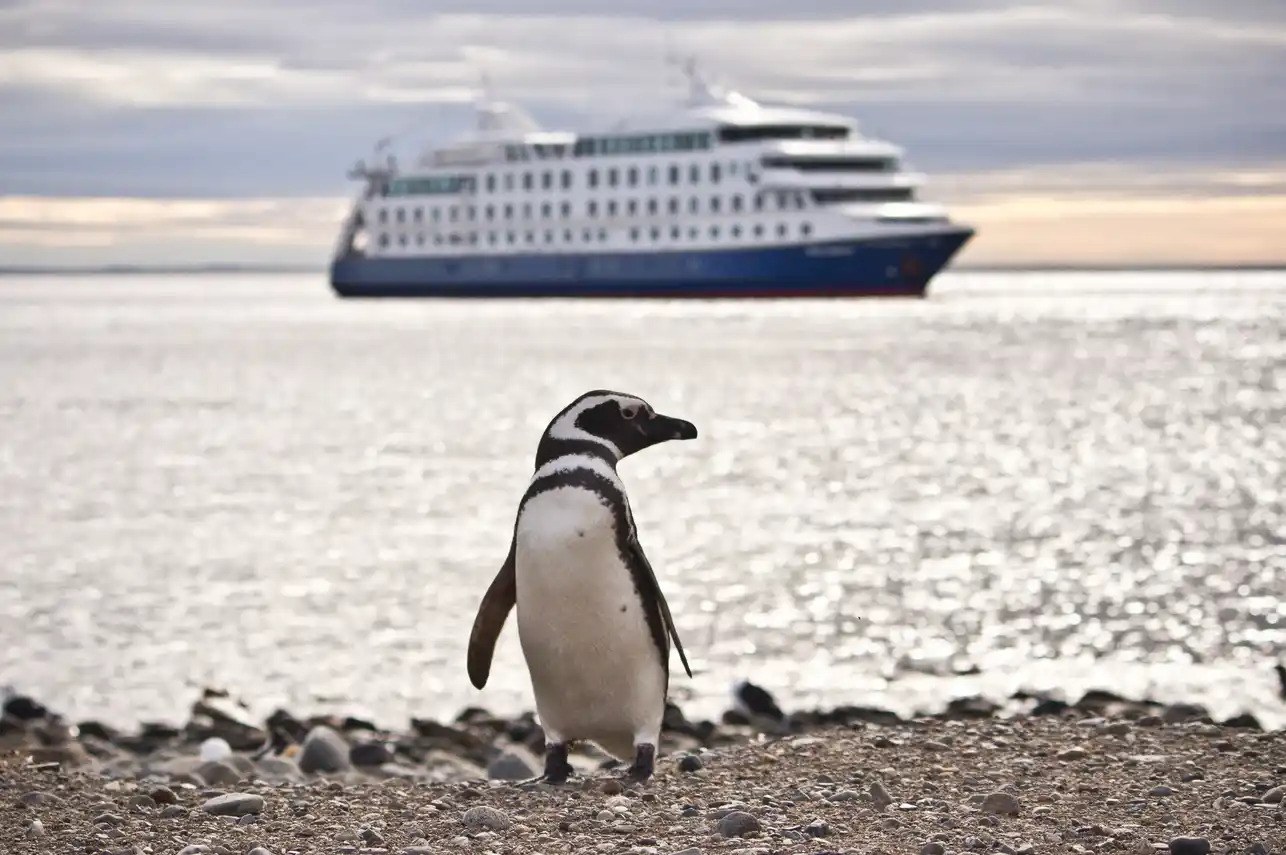 CL - Australis Cruise.jpg