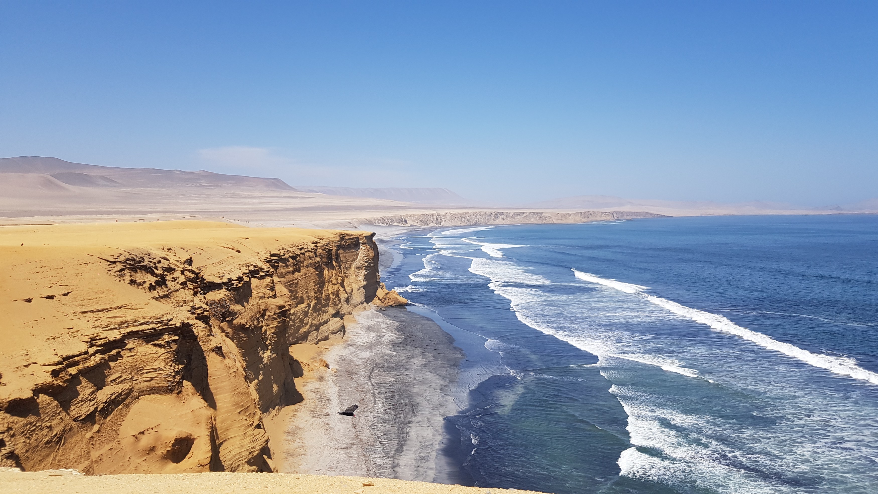 PE - Algemeen - Paracas NP.jpg