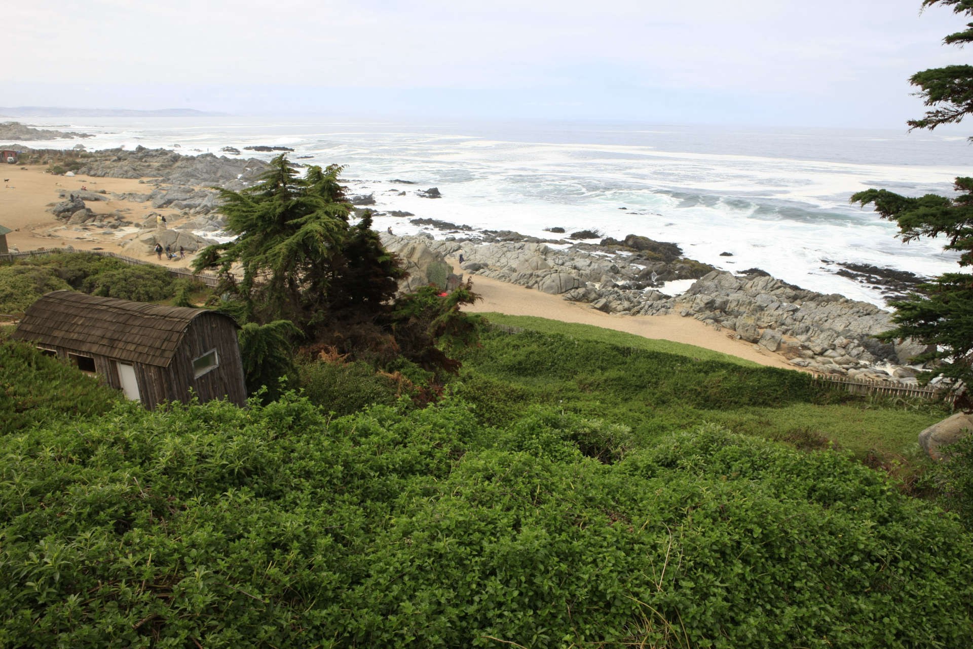 CL-Excursie-17137-Isla-Negra-header-compressed.jpg